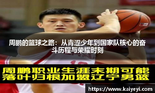 星空.综合体育(中国)官方网站